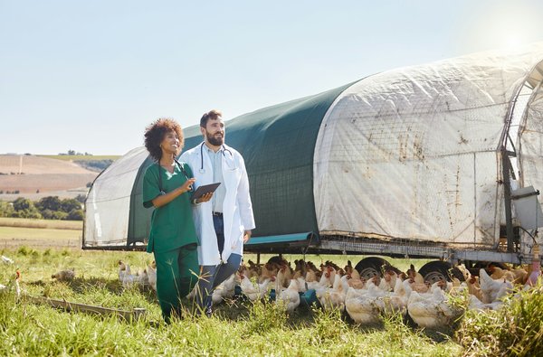 The role of environmental monitoring in poultry welfare